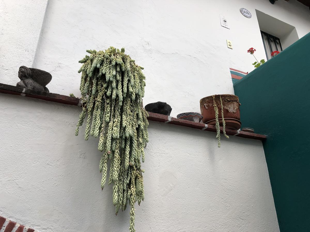 Meson Del Penasco Διαμέρισμα Oaxaca Εξωτερικό φωτογραφία